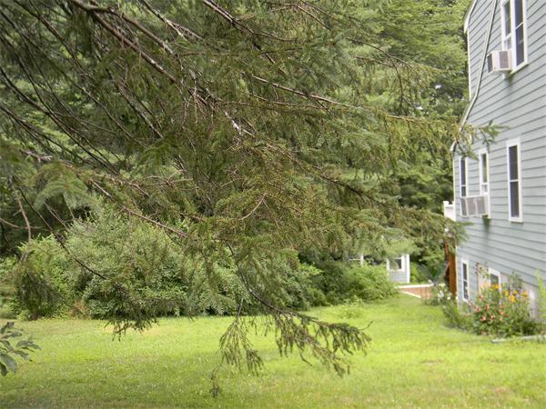11 Texas Road Westford, MA 01886 - Photo 24 of 30 Gallery Image 24