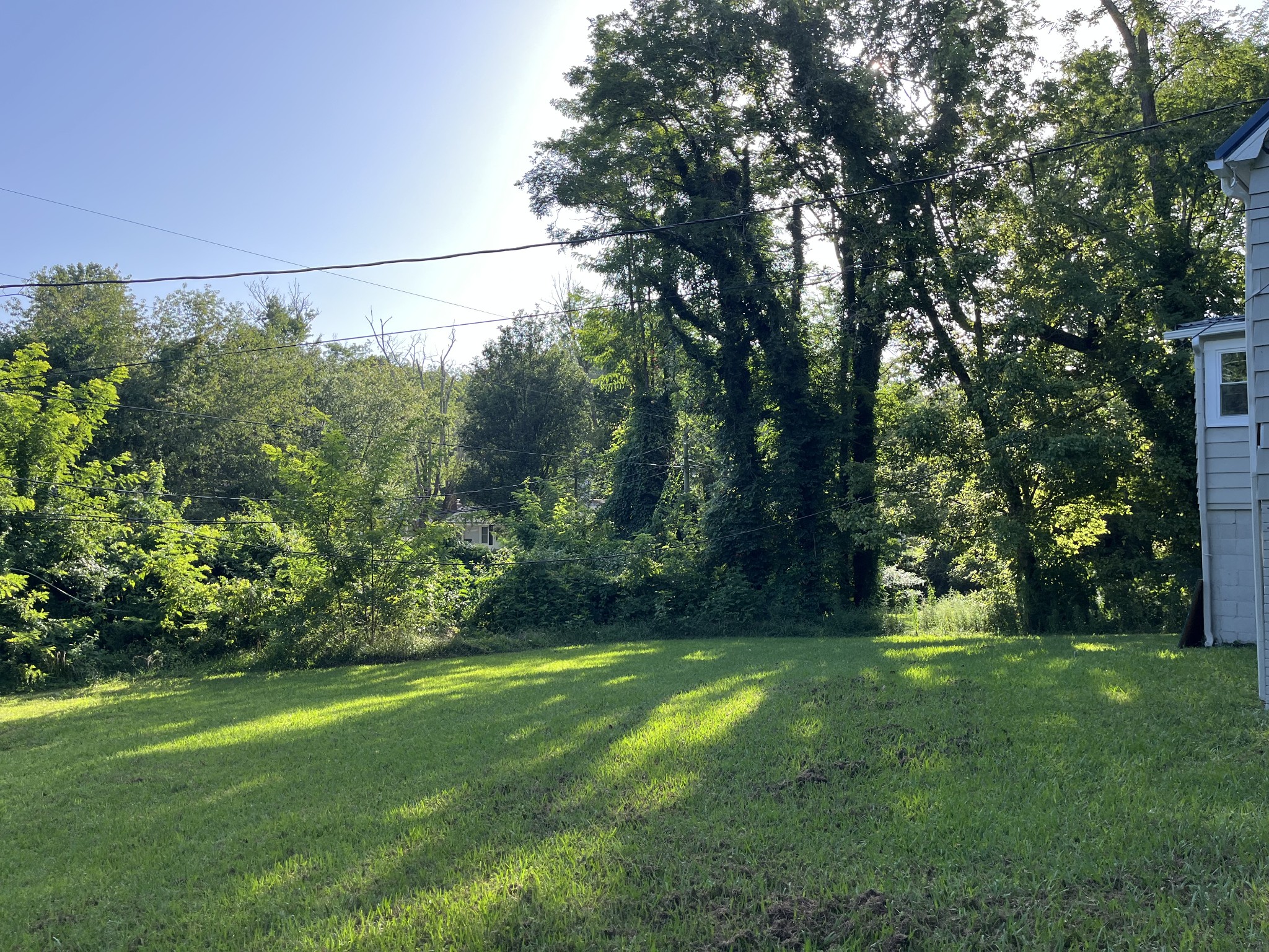 733 East Spring Street Cookeville, TN 38501 - Photo 23 of 23 a view of a field with a tree