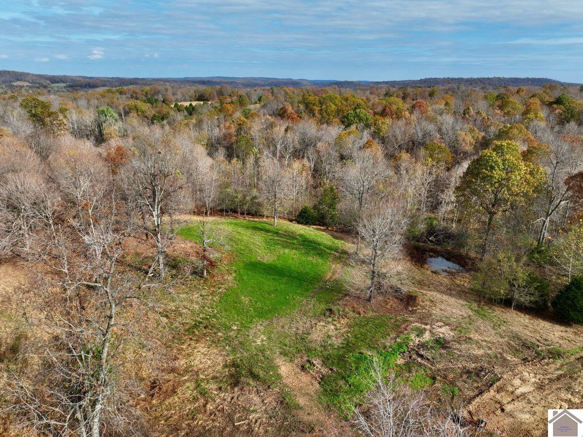 0 Goodsprings Road Fredonia, KY 42411 - Photo 14 of 33 Photo 14