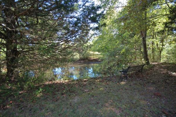 7508 King Road Fairview, TN 37062 - Photo 25 of 30 a view of a forest with trees