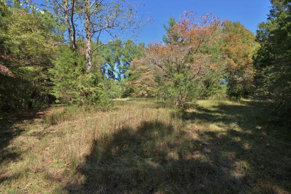 7508 King Road Fairview, TN 37062 - Photo 26 of 30 a view of a lake with lots of trees