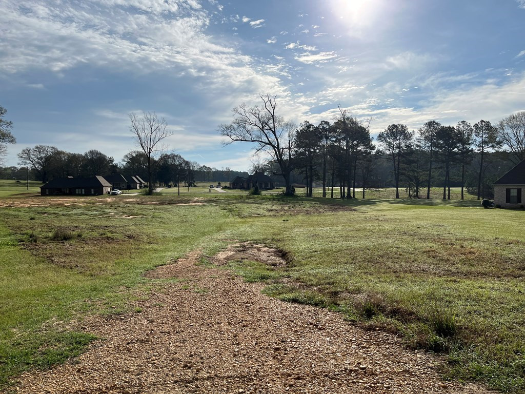 0 Northwest Chantilly Drive Madison, MS 39110 - Photo 2 of 2 Photo 2