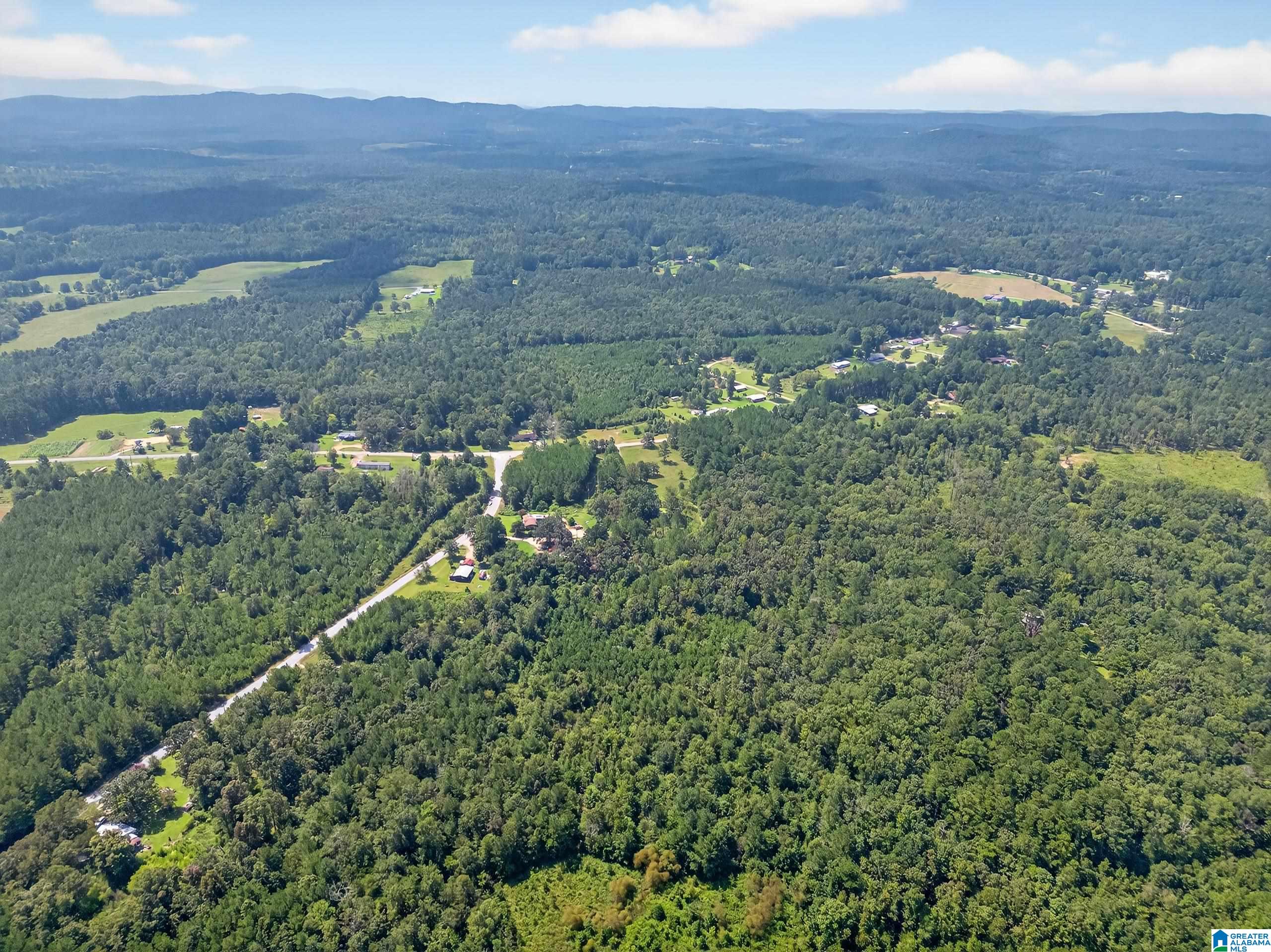 368 Jones Chapel Road Piedmont, AL 36272 - Photo 8 of 10