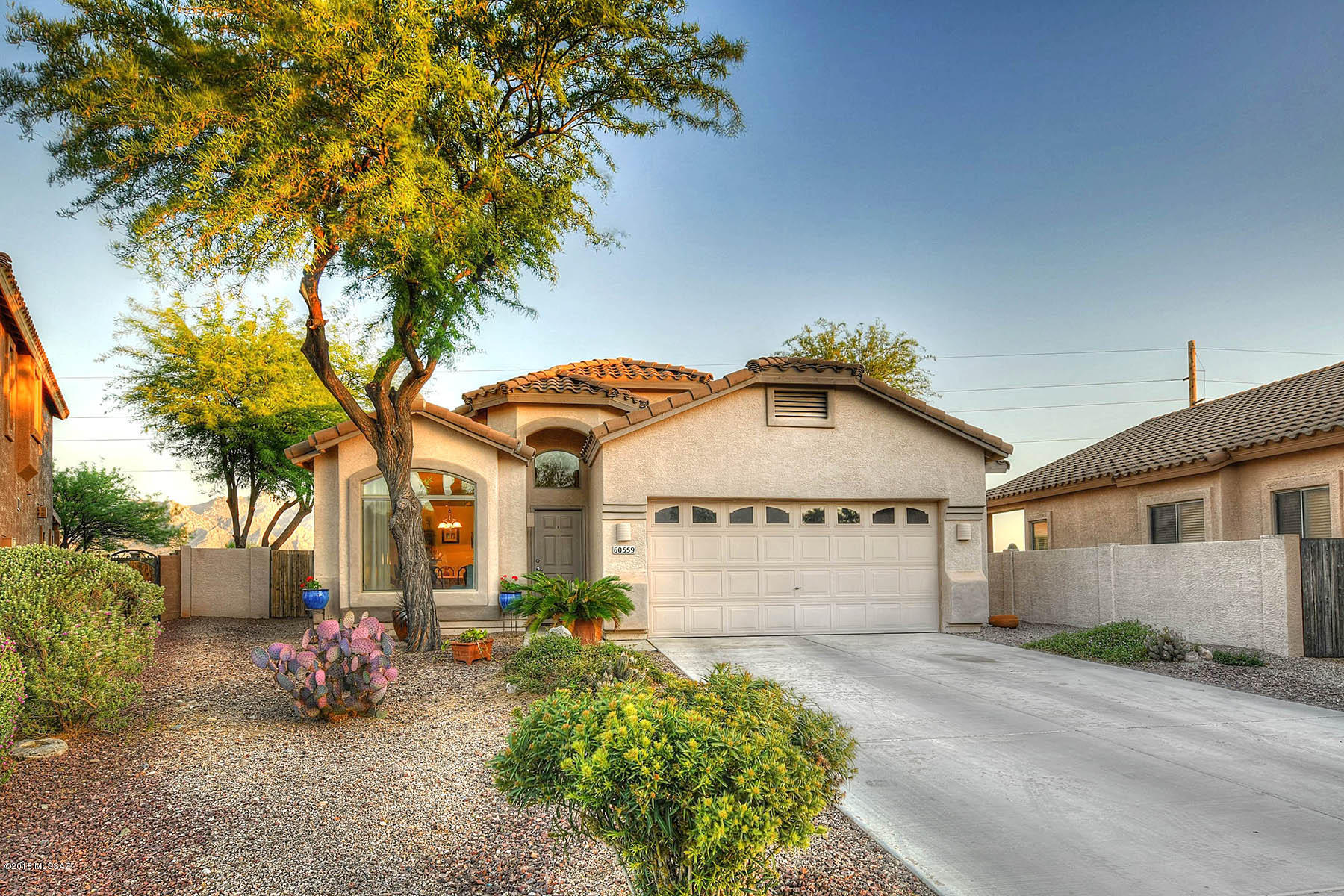 60559 East Blackcrest Loop Tucson, AZ 85739 - Photo 32 of 33