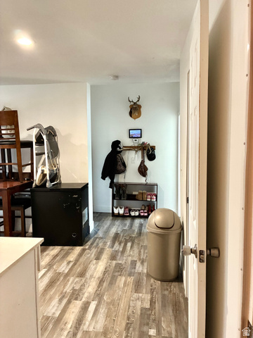 175 Eagle Street Eureka, UT 84628 - Photo 11 of 31 Interior space with light wood-type flooring