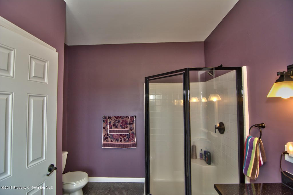 1081 Motichka Road Moscow, PA 18444 - Photo 68 of 90 a bathroom with a shower and a mirror