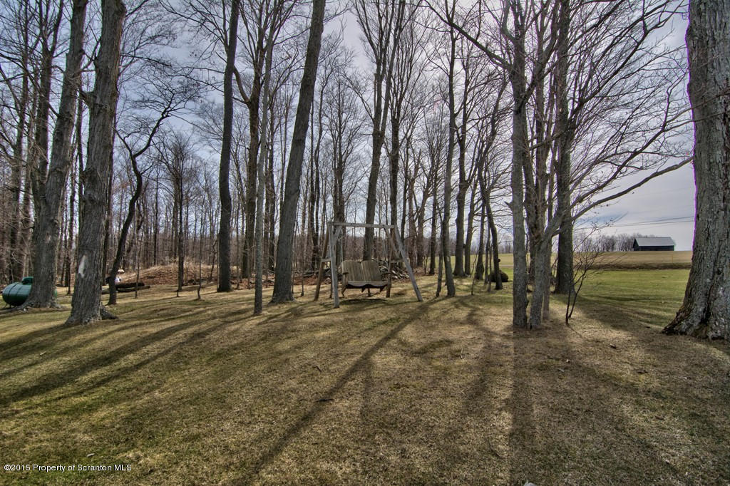 1081 Motichka Road Moscow, PA 18444 - Photo 89 of 90 a view of a backyard with large trees