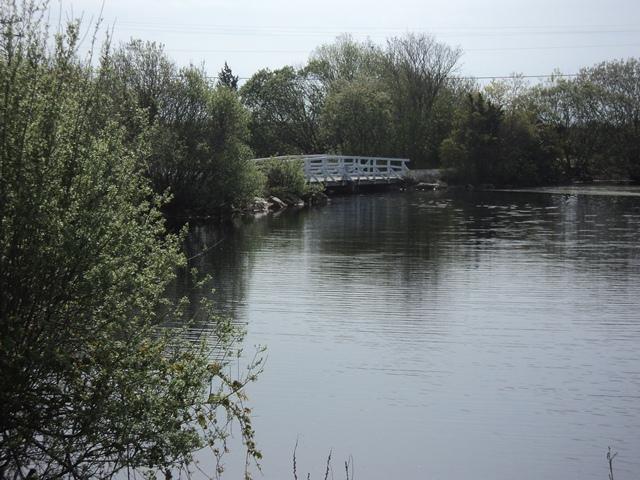 23 Naushon Road Mashpee, MA 02649 - Photo 3 of 22 a view of river covered with trees