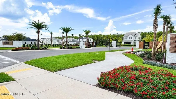 a view of a garden with palm trees