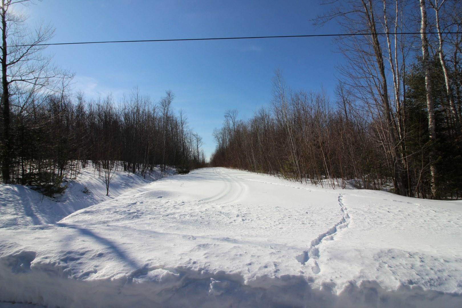 Tbd Tbd Holeman Road Rumford, ME 04276 - Photo 10 of 19 IMG_7851_1620x1080