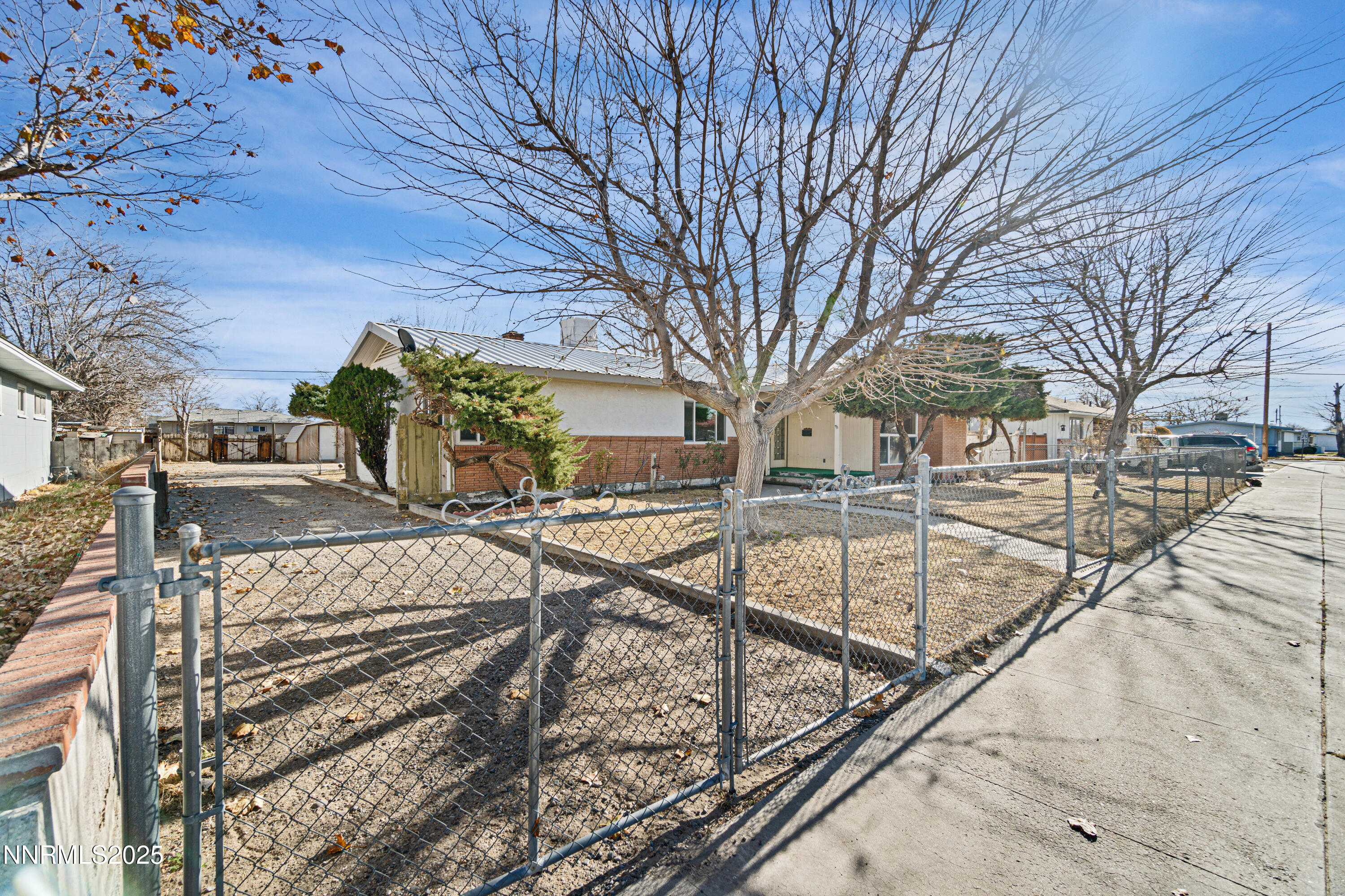 475 South Bailey Street Fallon, NV 89406 - Photo 3 of 27 a view of a yard with a tree