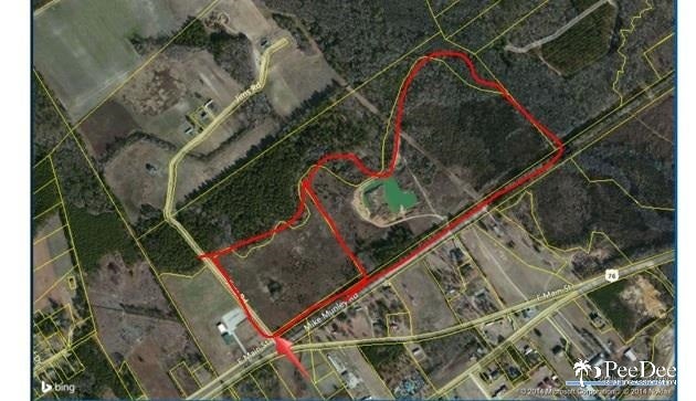 Jims Road Timmonsville, SC 29161 - Photo 1 of 1 Gallery Image 1