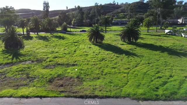 a view of a park with large trees