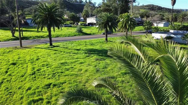 a view of a garden with a tree