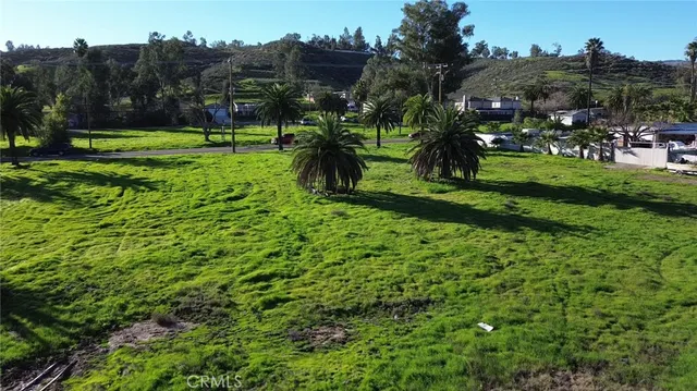 a view of a large garden