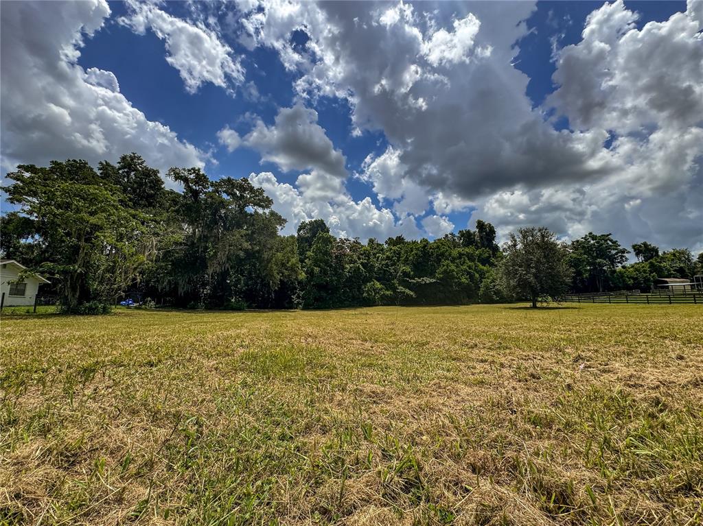 Jacobson Road Brooksville, FL 34601 - Photo 5 of 22