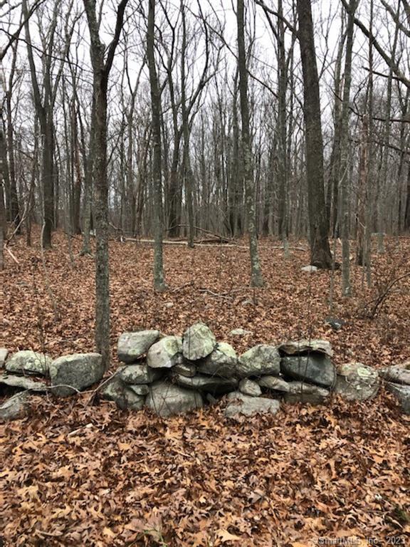 0 Ridge Hill Road Oakdale, CT 06370 - Photo 1 of 1