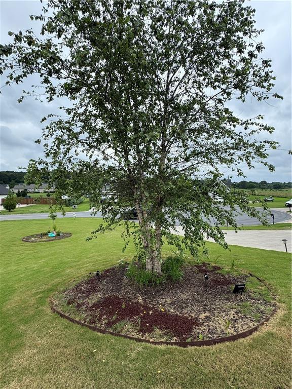 127 Alex Court Calhoun, GA 30701 - Photo 33 of 33