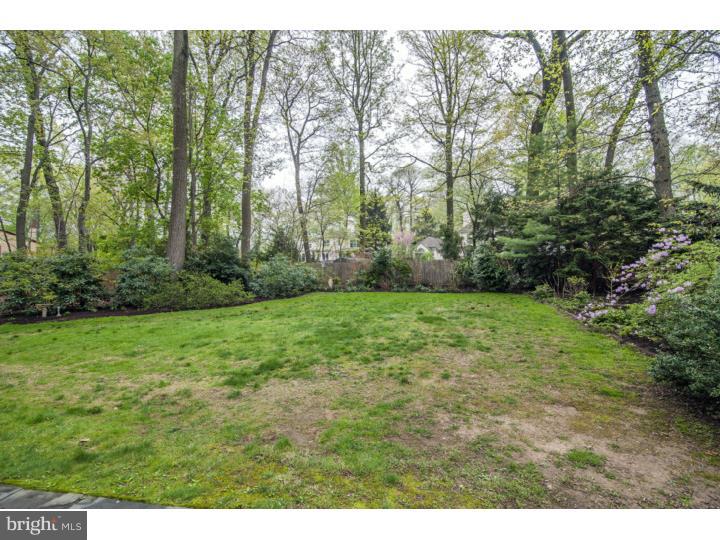 437 Upper Gulph Road Wayne, PA 19087 - Photo 22 of 23 Back Yard