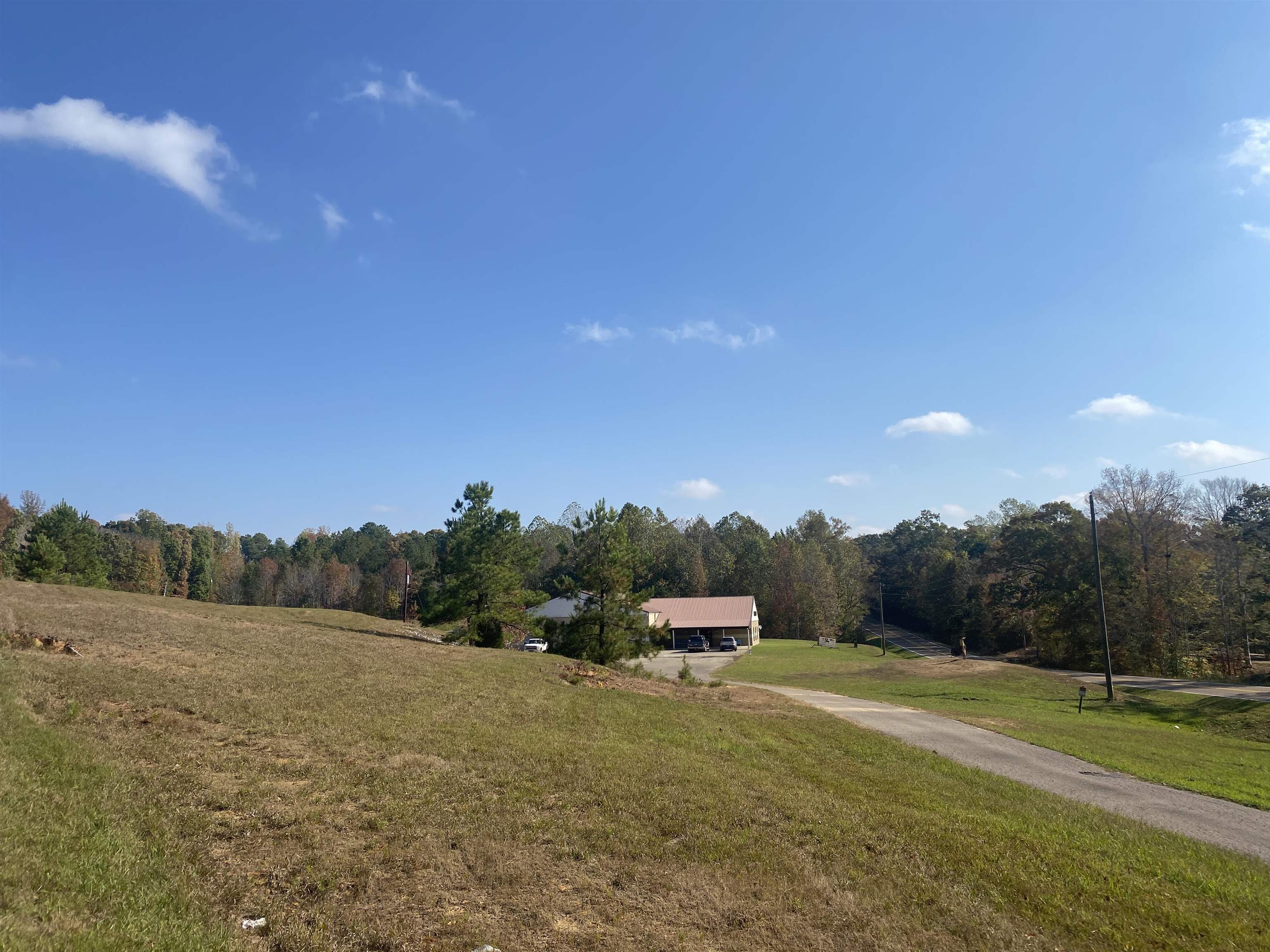 795 Center Point Road North Reagan, TN 38368 - Photo 35 of 40 a view of a big yard with potted plants and mountain view