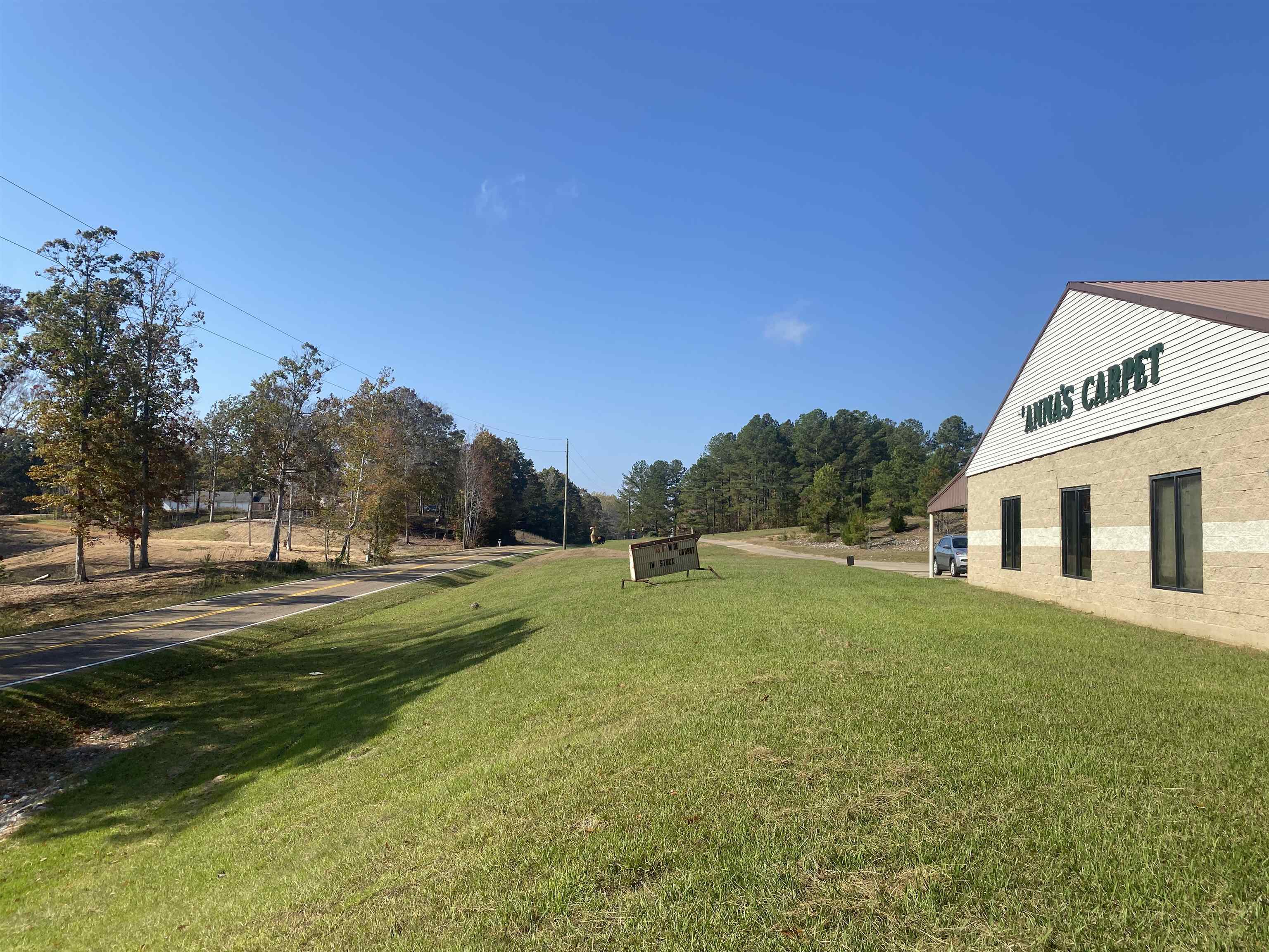 795 Center Point Road North Reagan, TN 38368 - Photo 37 of 40 a view of a house with a yard