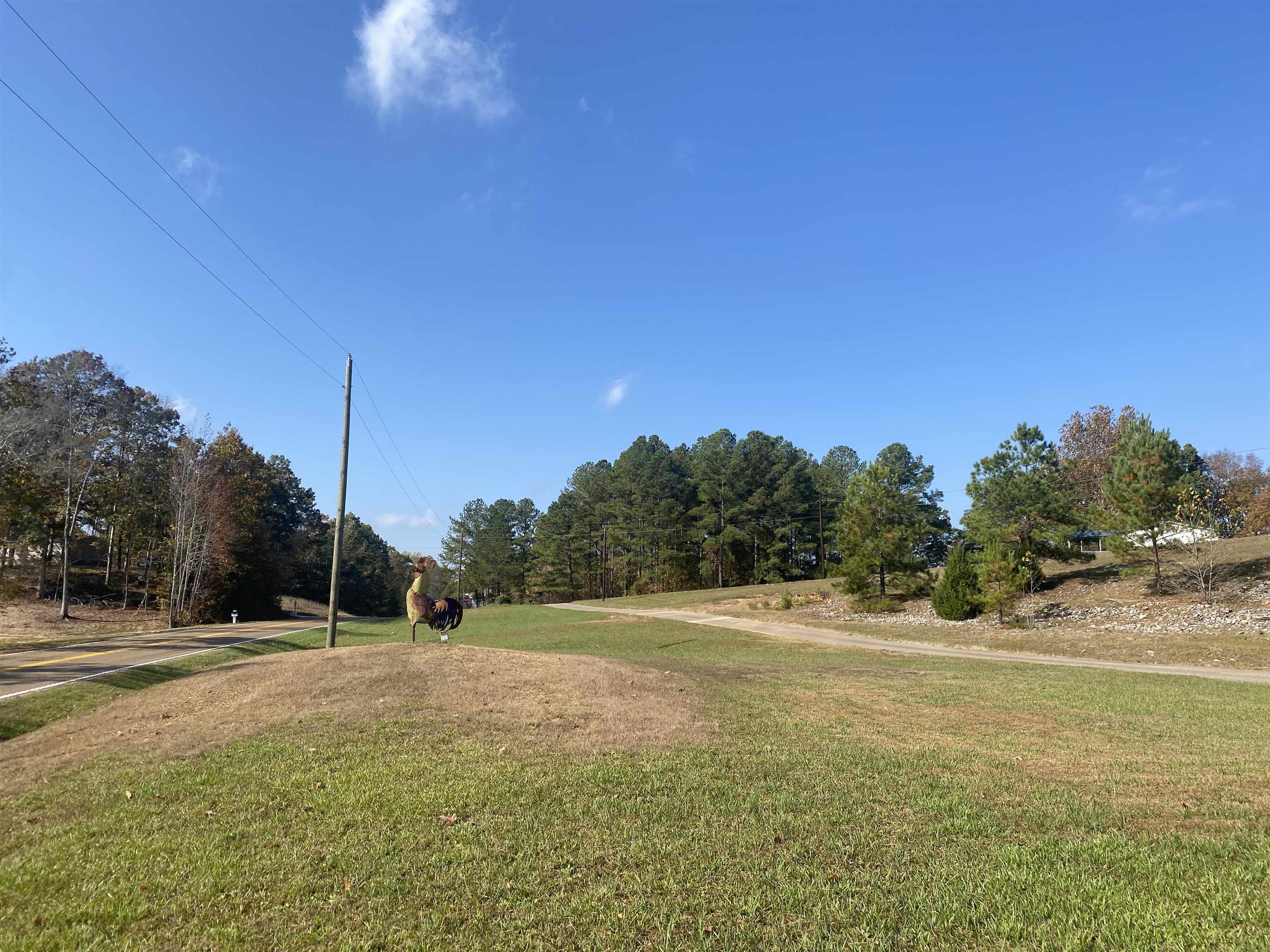 795 Center Point Road North Reagan, TN 38368 - Photo 38 of 40 a backyard of a house with lots of green space