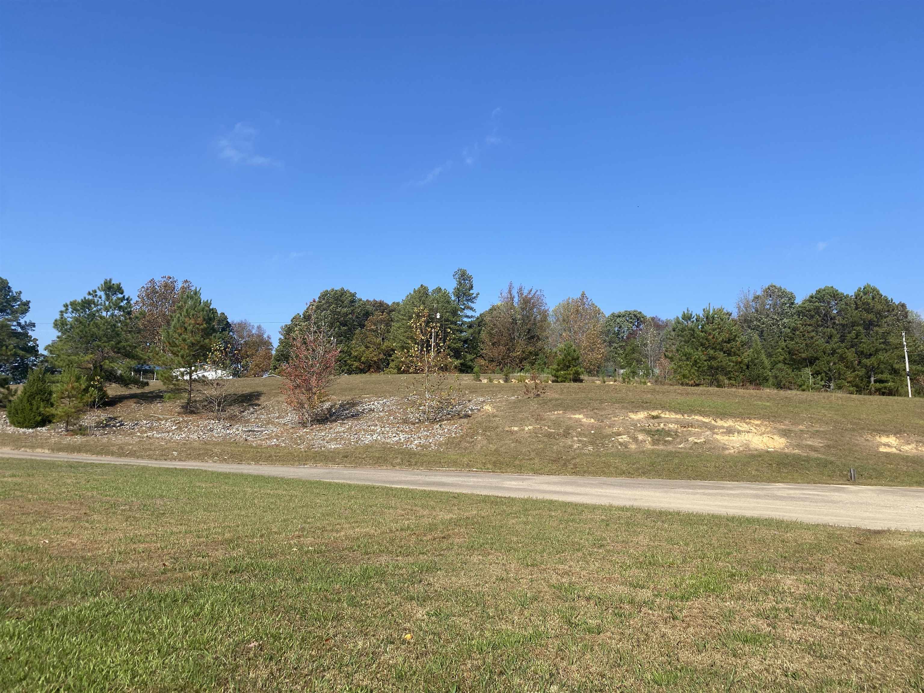 795 Center Point Road North Reagan, TN 38368 - Photo 39 of 40 a view of lake view and mountain view