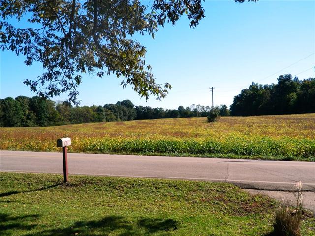 4213 Summitville Road Manchester, TN 37355 - Photo 17 of 17 This could be your view every morning!