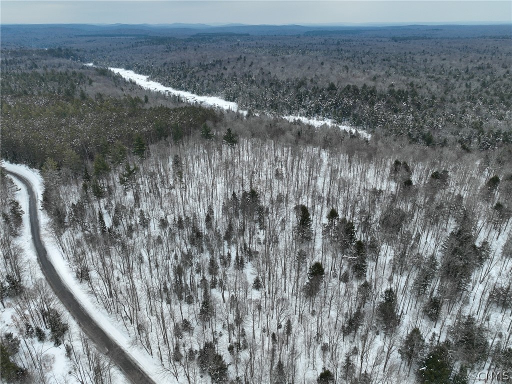 Lot#3 Roberts Road Remsen, NY 13438 - Photo 20 of 28