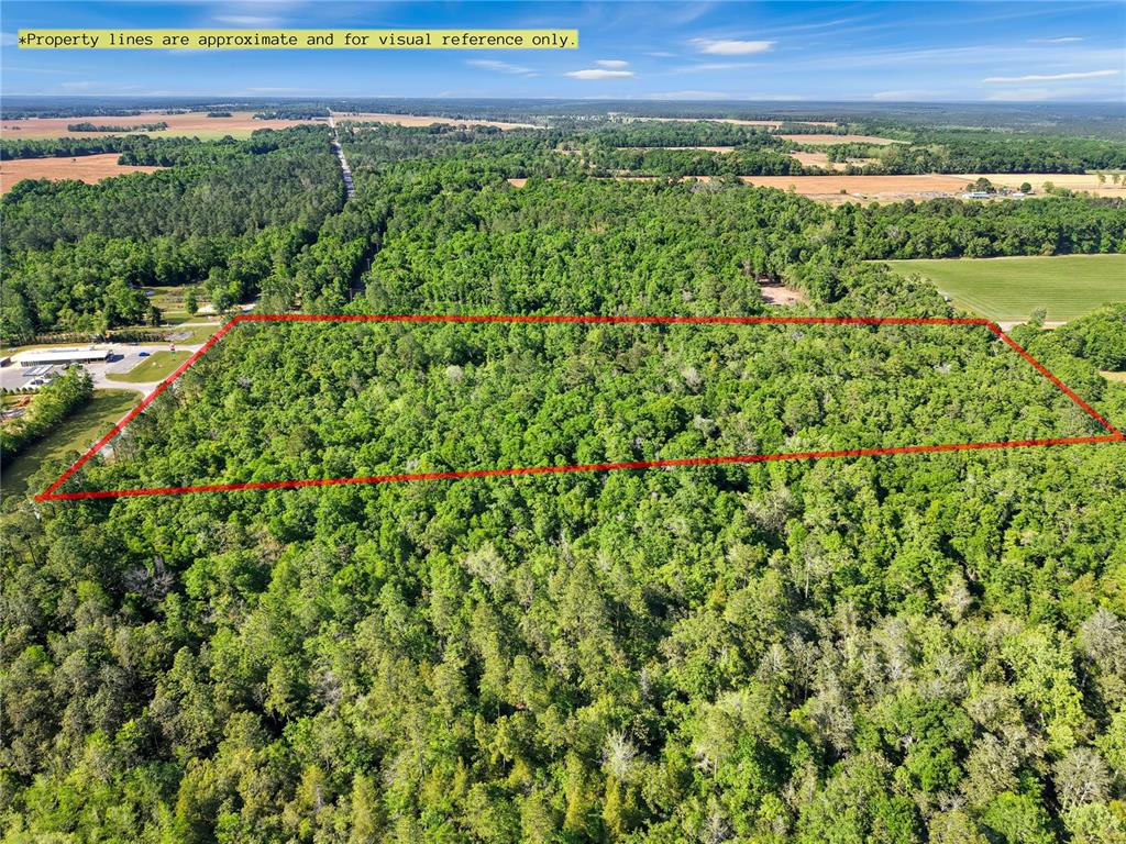 87 North Neal Kennington Road Milton, FL 32570 - Photo 3 of 10