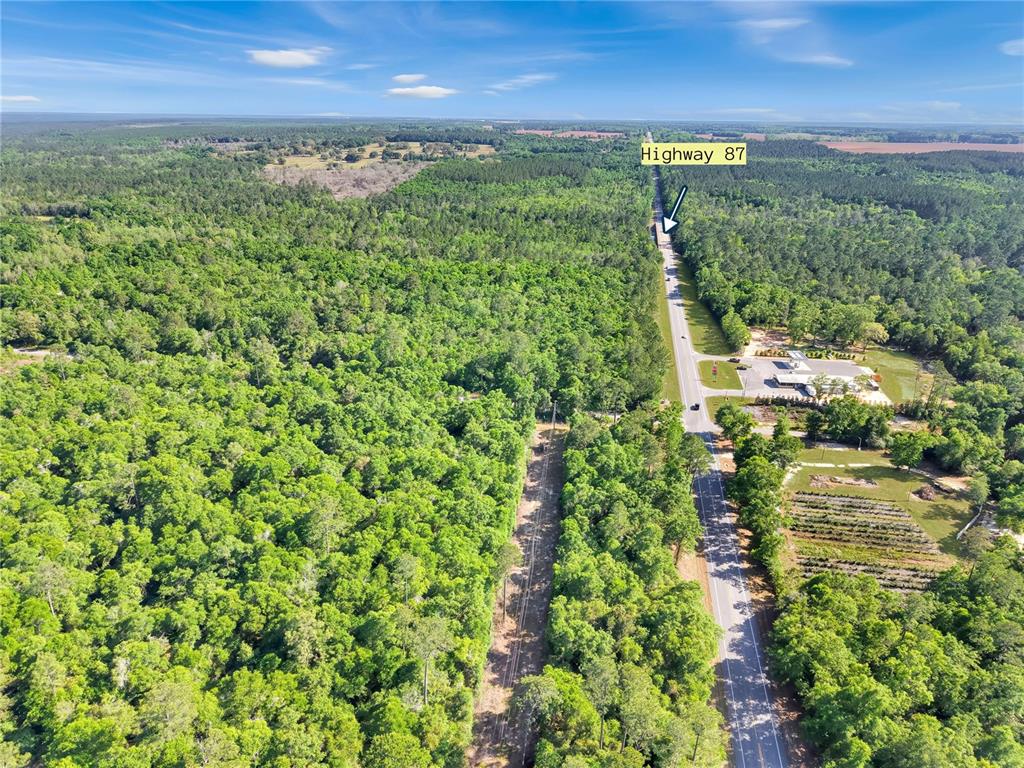 87 North Neal Kennington Road Milton, FL 32570 - Photo 4 of 10