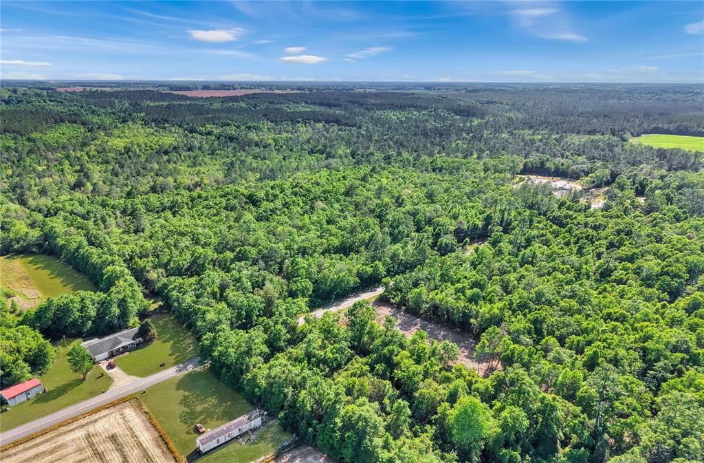 87 North Neal Kennington Road Milton, FL 32570 - Photo 6 of 10