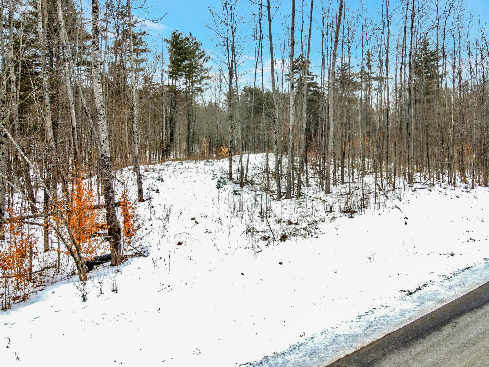 237 Taylor Road Winslow, ME 04901 - Photo 6 of 29 06_DJI_0680_DxO_mls