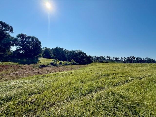 Tbd Bennie Morris Road Mount Hermon, LA 70450 - Photo 15 of 17