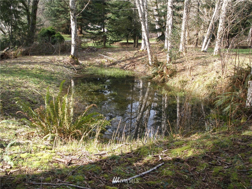 997 Elochoman Valley Road Cathlamet, WA 98612 - Photo 18 of 40 Gallery Image 18