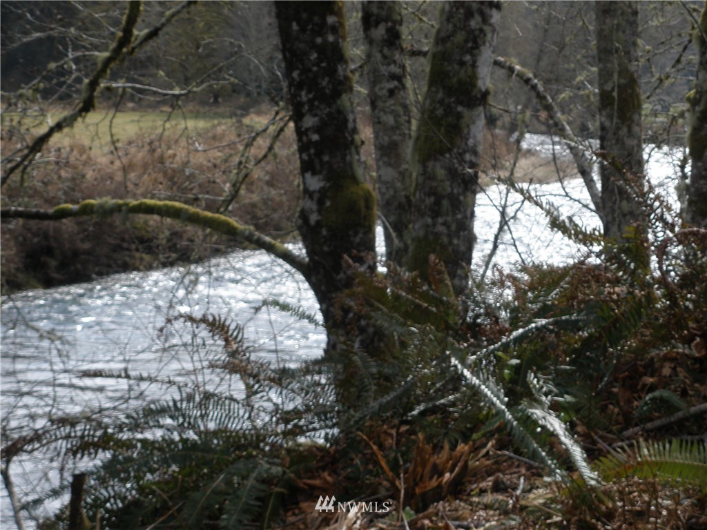 997 Elochoman Valley Road Cathlamet, WA 98612 - Photo 24 of 40 Gallery Image 24