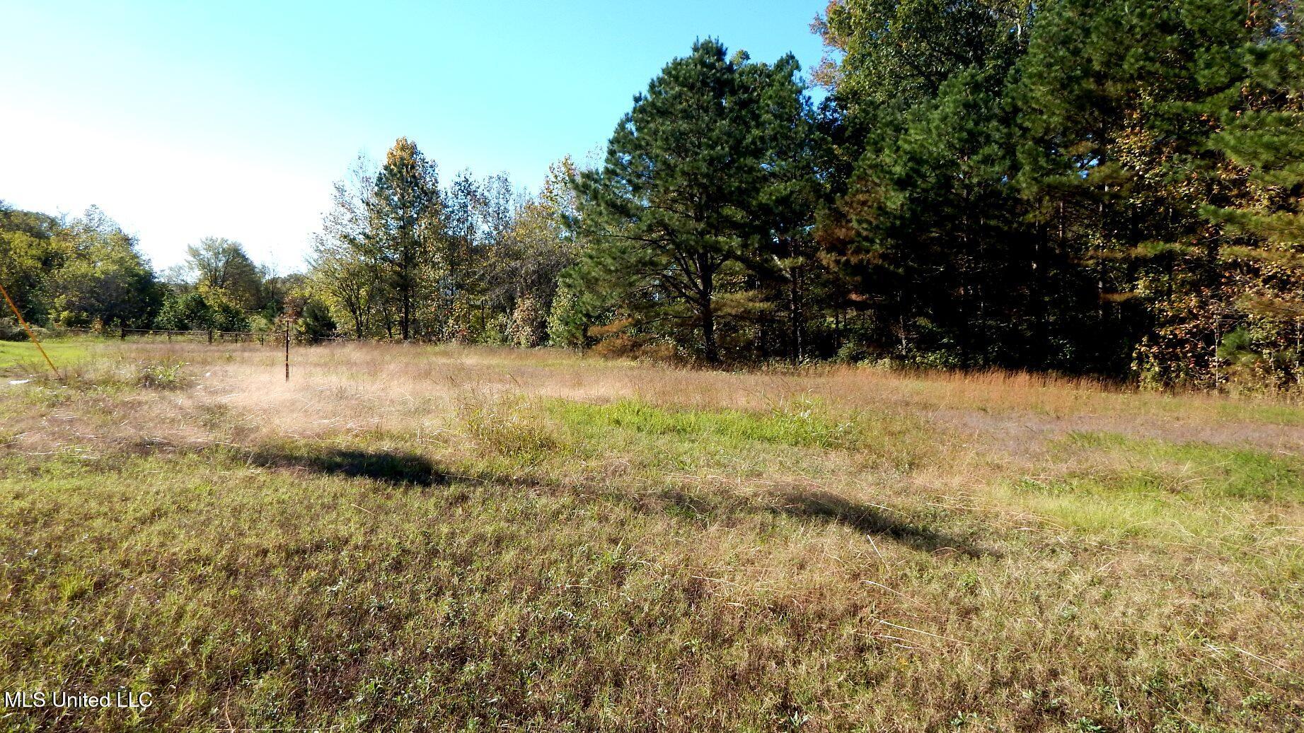 93 Poag Road Senatobia, MS 38668 - Photo 4 of 10 DSCN6242