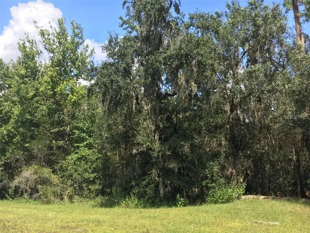 $249,000 | 41025 20th Place East, Myakka City, FL 34251