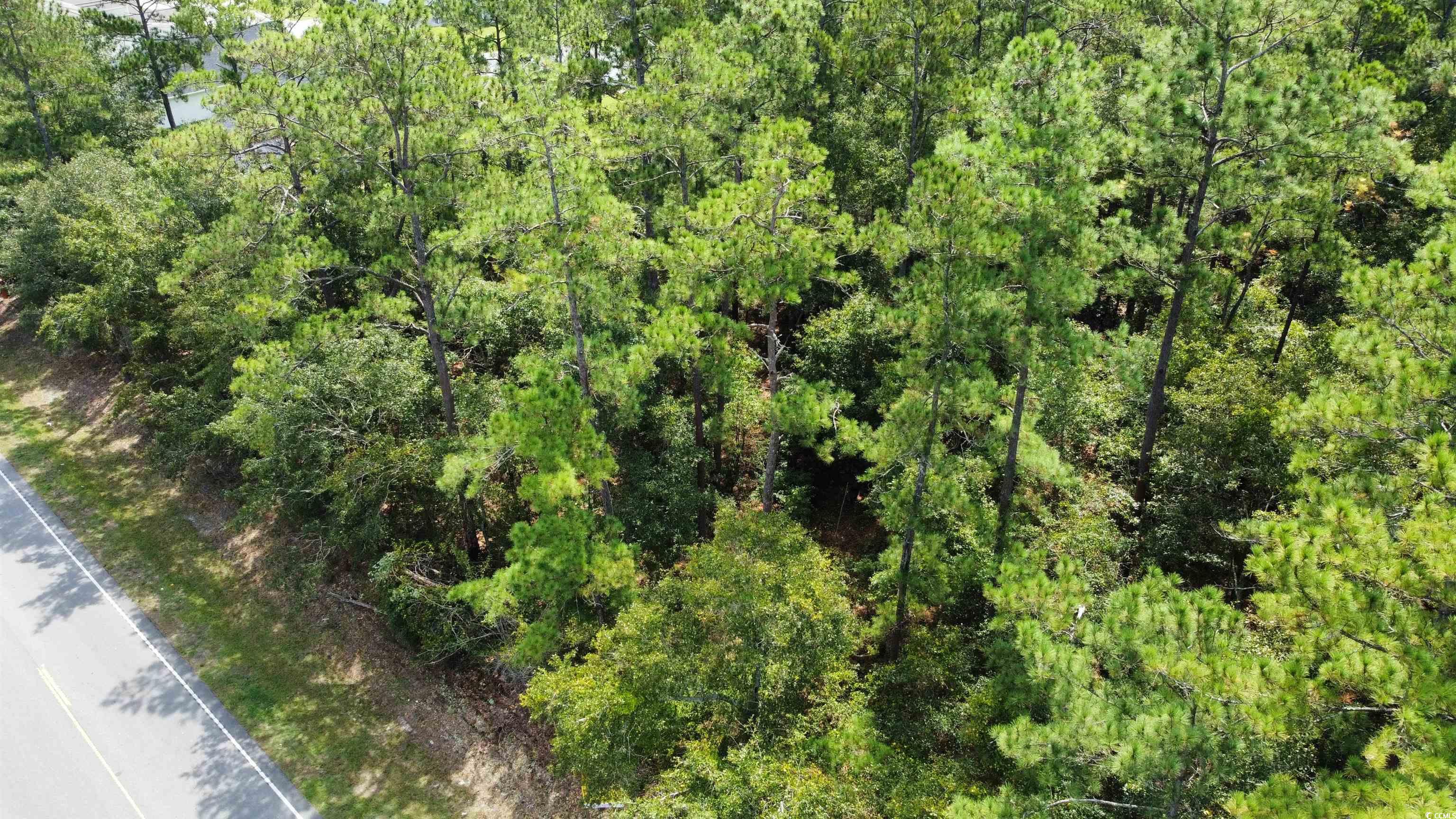 905 Highway 905 Conway, SC 29526 - Photo 2 of 11