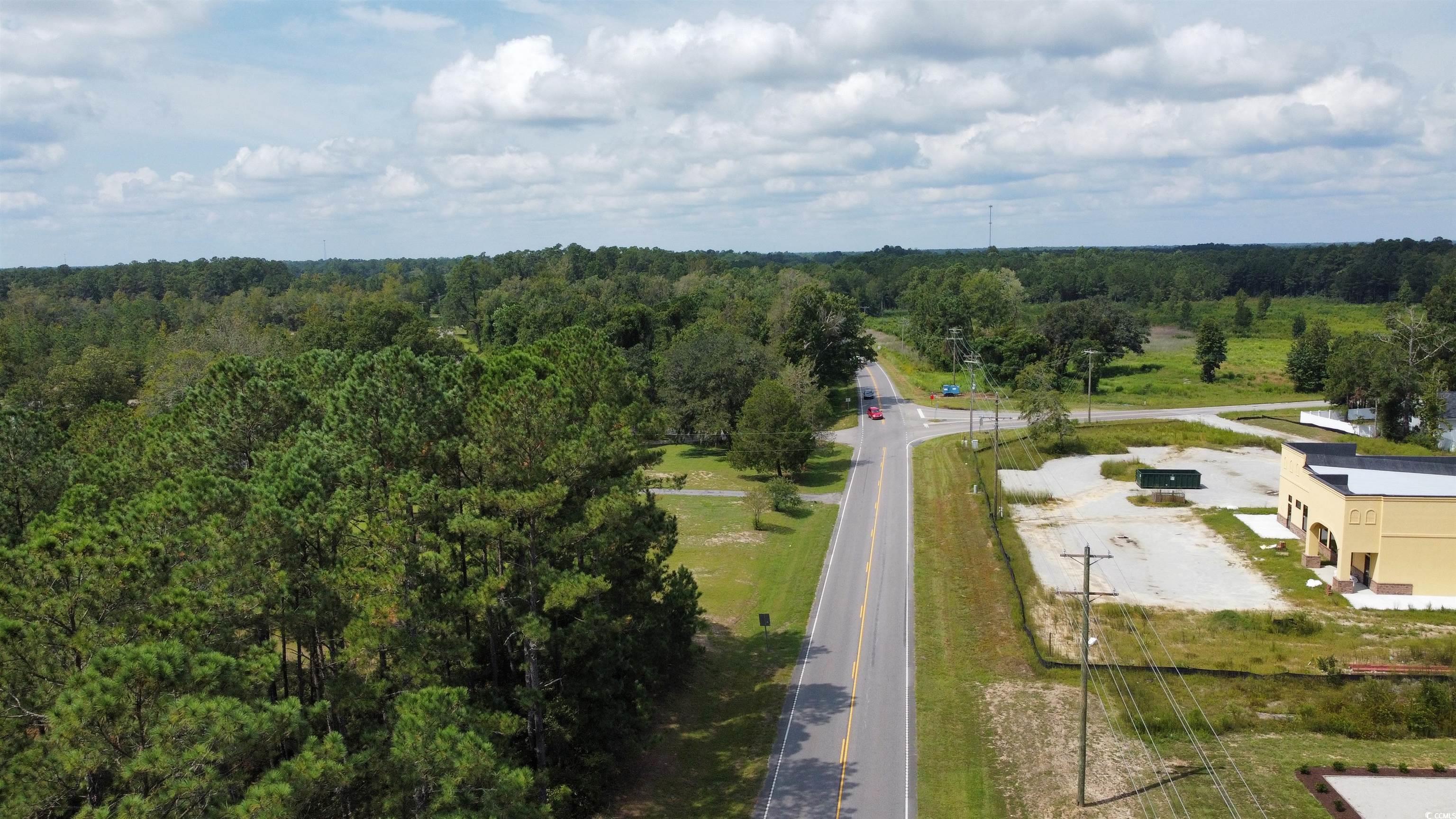 905 Highway 905 Conway, SC 29526 - Photo 4 of 11