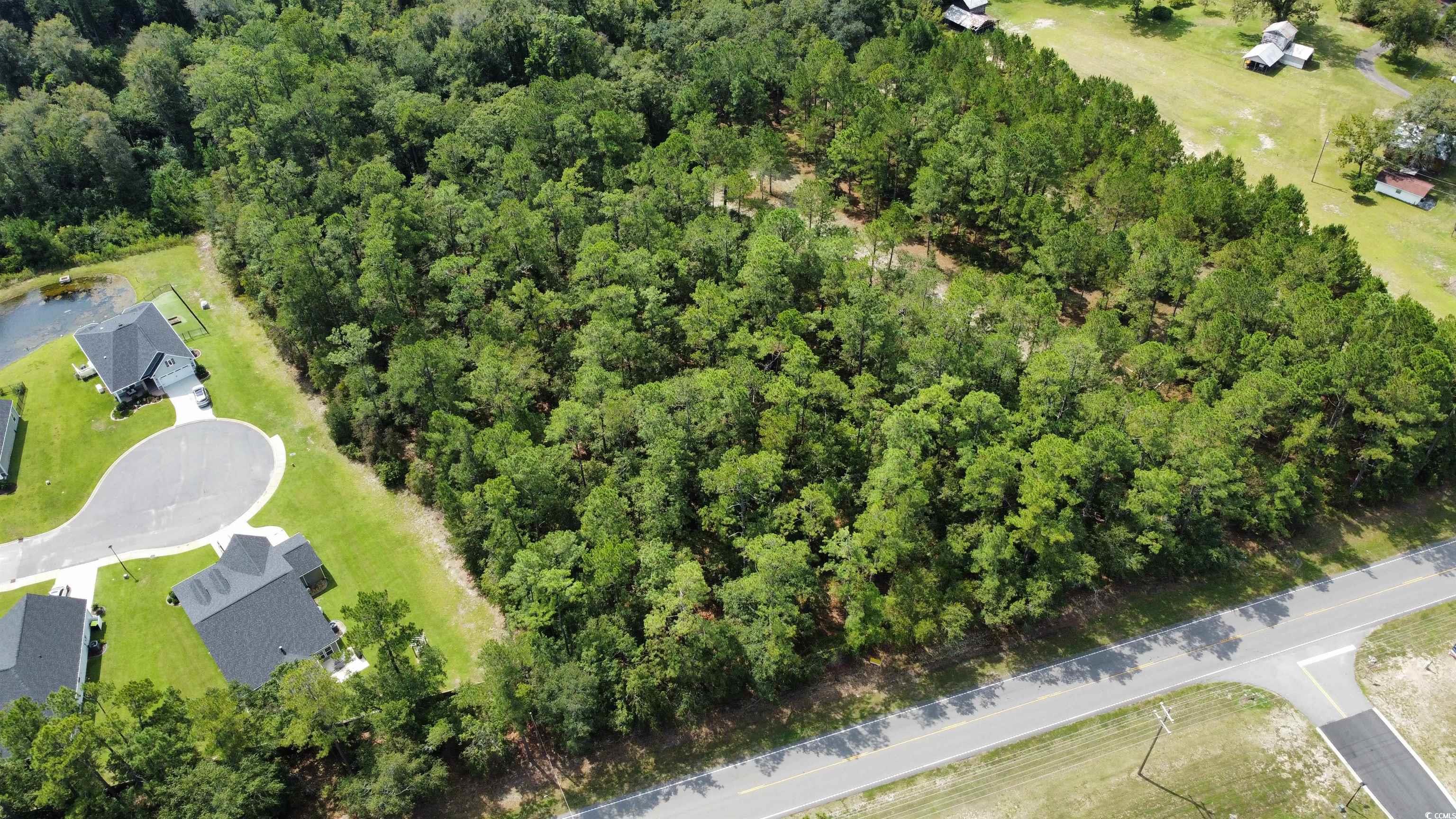 905 Highway 905 Conway, SC 29526 - Photo 7 of 11
