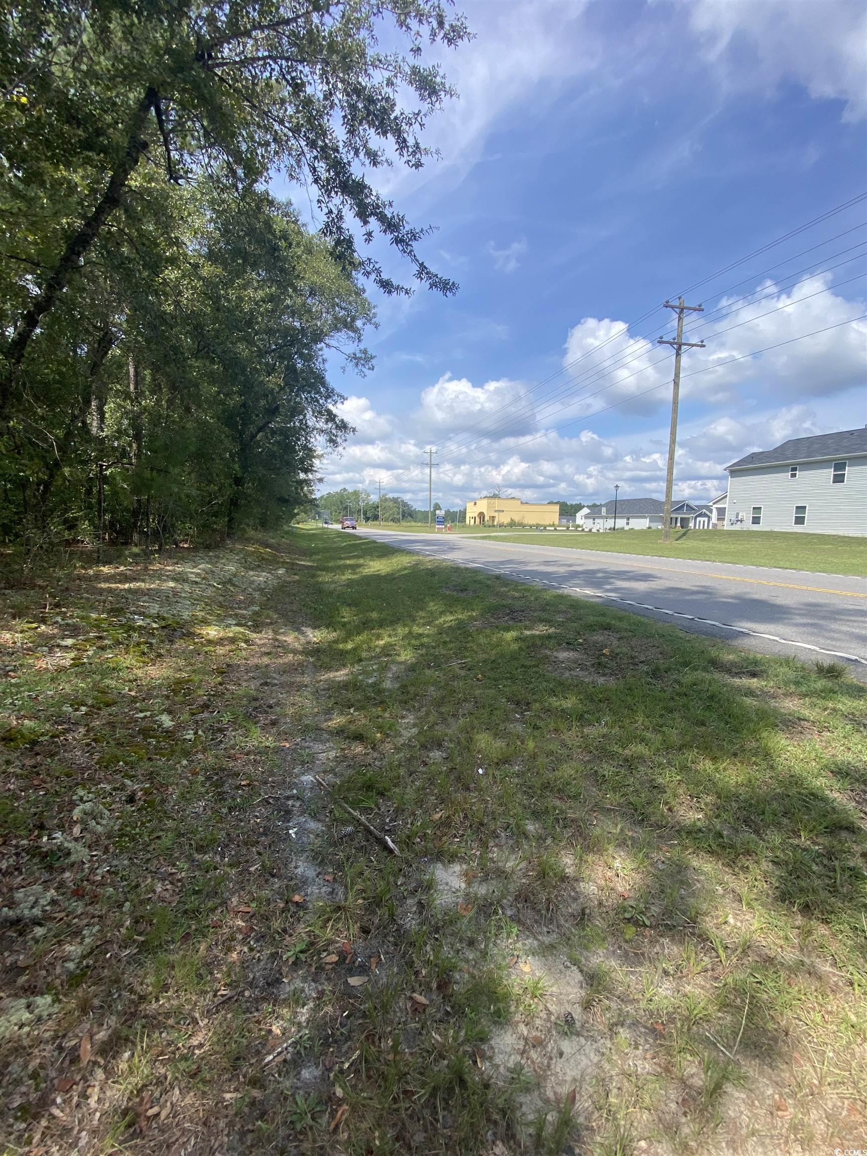 905 Highway 905 Conway, SC 29526 - Photo 10 of 11