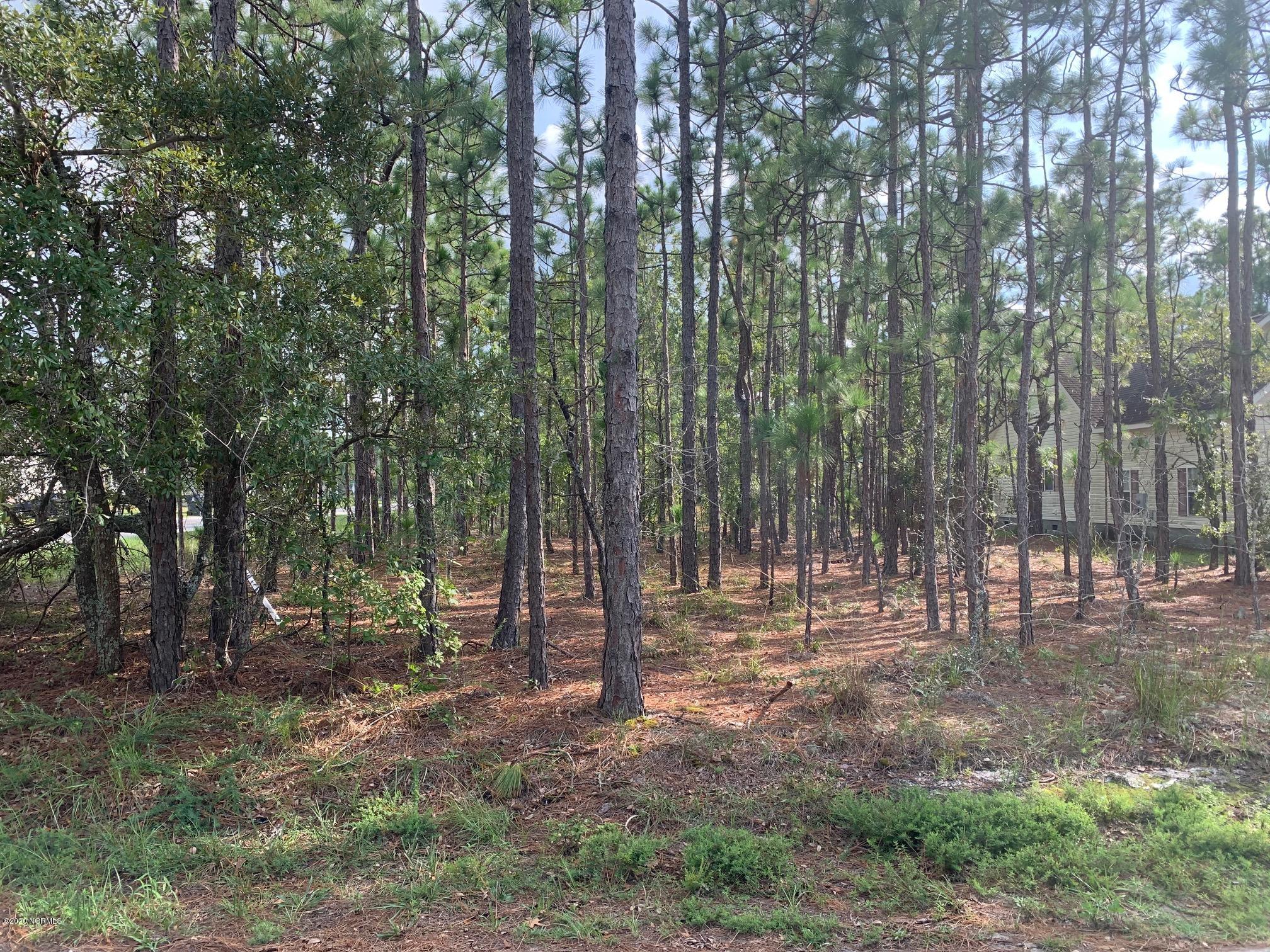 Lot 2 Shelby Road Southport, NC 28461 - Photo 1 of 13 Front of lot