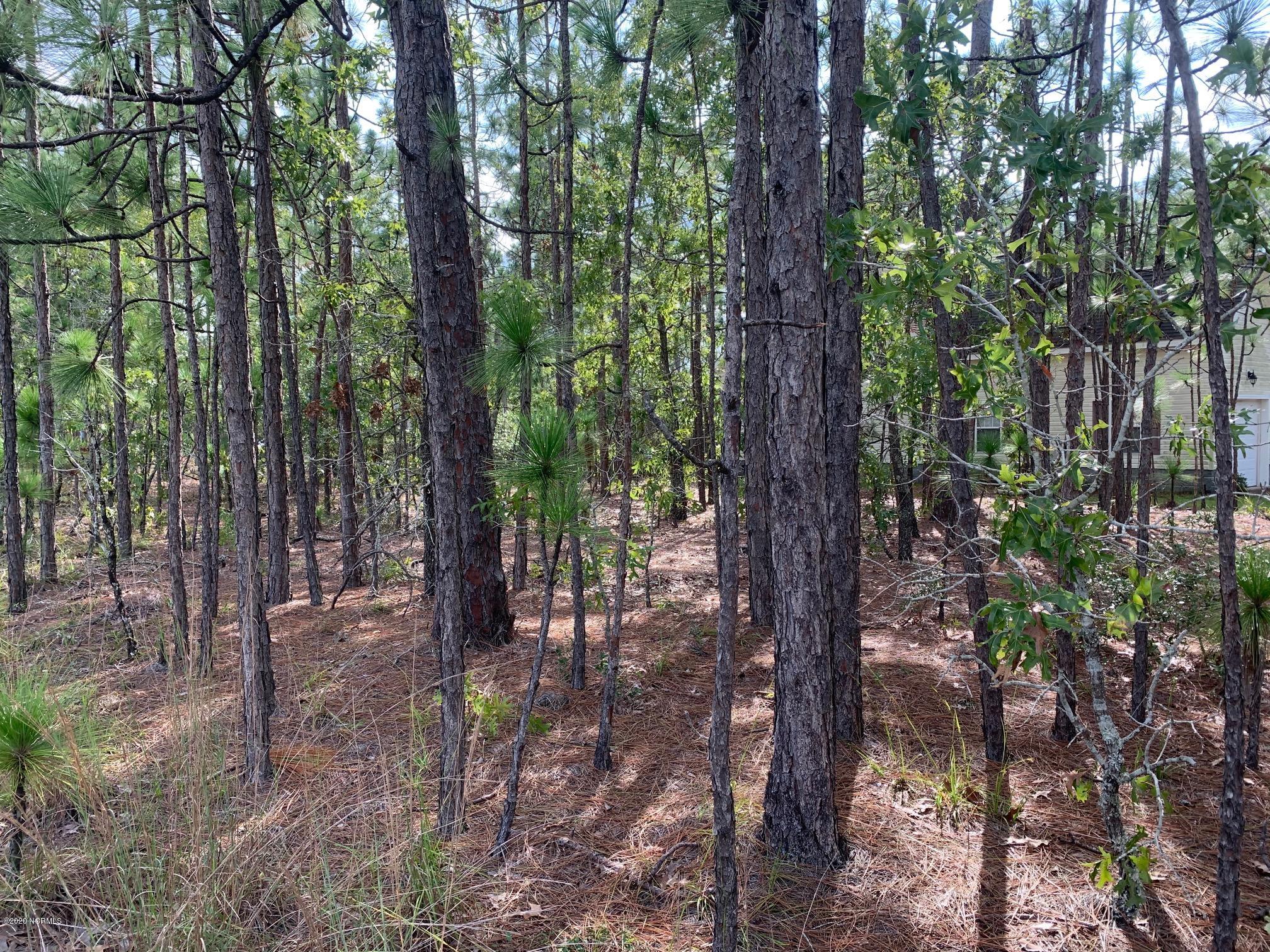 Lot 2 Shelby Road Southport, NC 28461 - Photo 2 of 13 Lot view