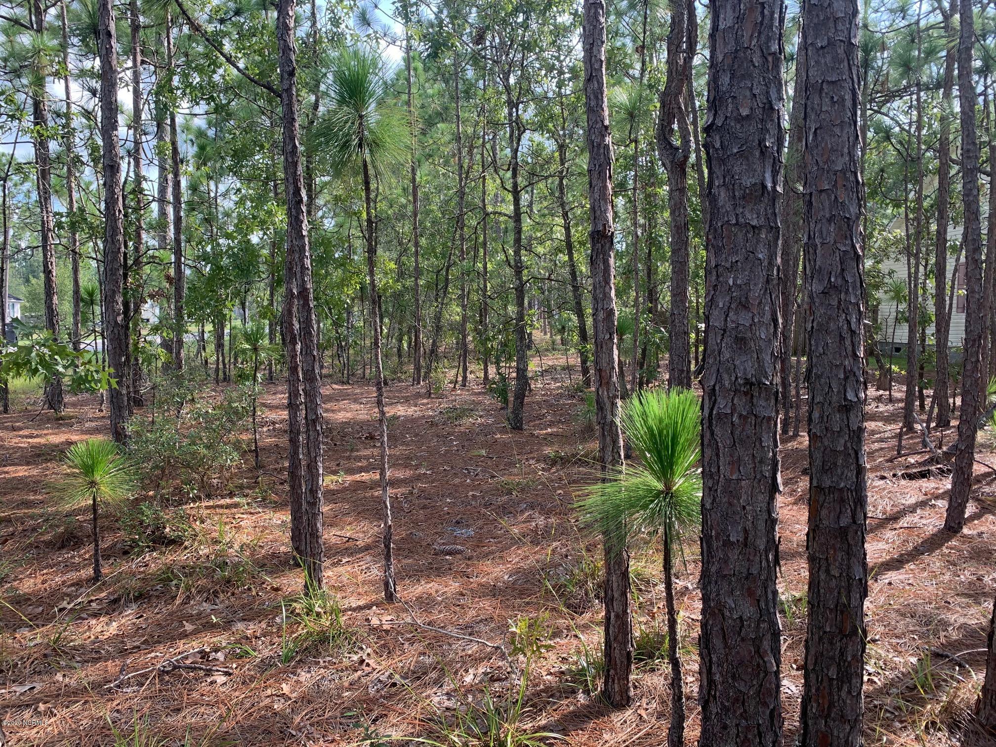 Lot 2 Shelby Road Southport, NC 28461 - Photo 3 of 13 Lot view
