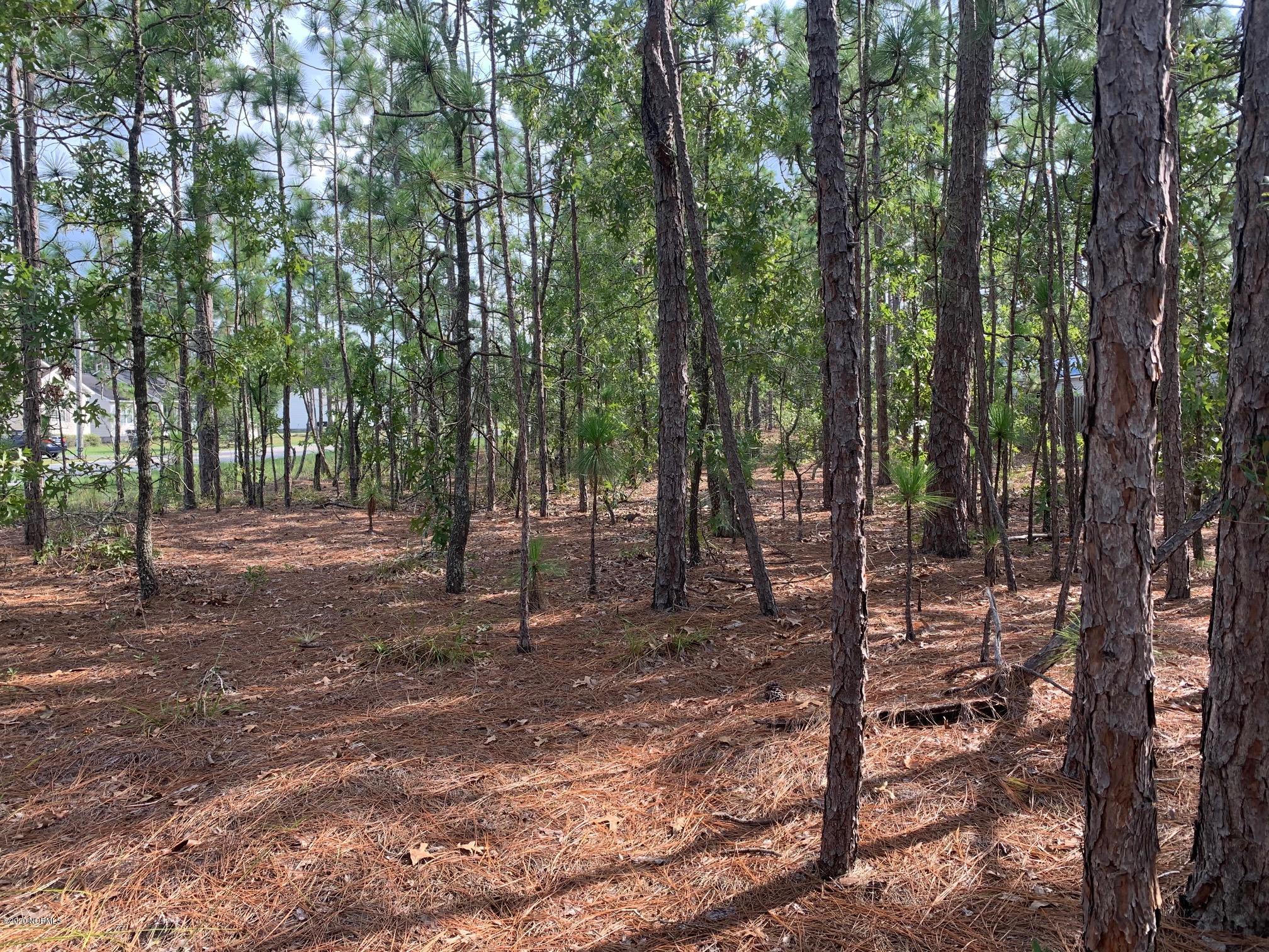 Lot 2 Shelby Road Southport, NC 28461 - Photo 4 of 13 Lot view