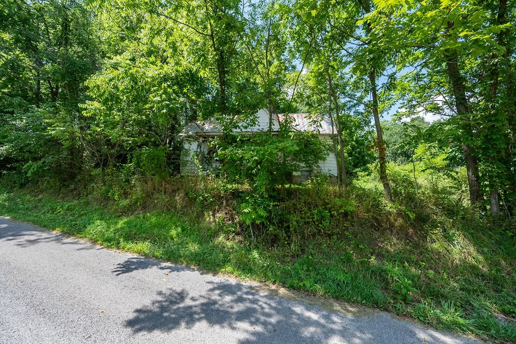 235 Frye Avenue Rural Retreat, VA 24368 - Photo 20 of 24 Gallery Image 20