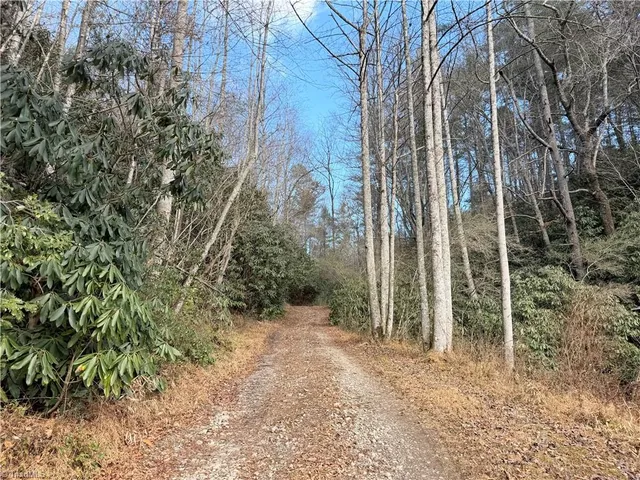 $535,000 | 421 West Purlear Nc 28665, Deep Gap, NC 28618