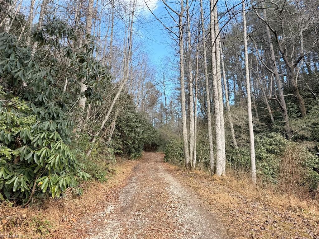 421 West Purlear Nc 28665 Deep Gap, NC 28618 - Photo 11 of 42