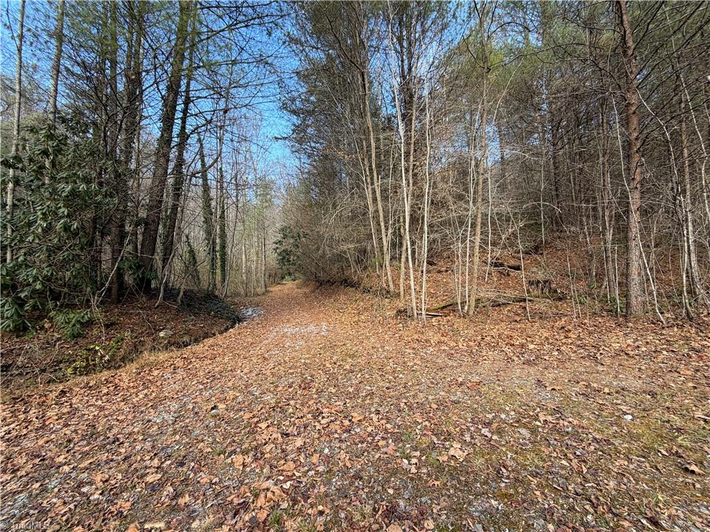 421 West Purlear Nc 28665 Deep Gap, NC 28618 - Photo 12 of 42
